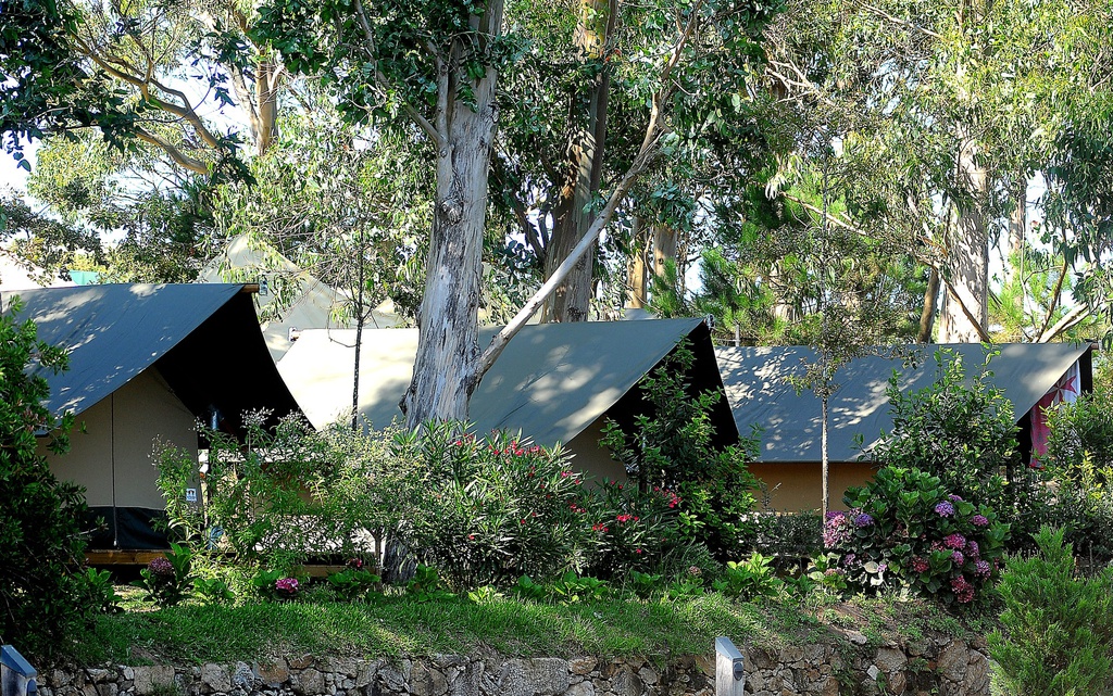 PAQUETE GLAMPING PAREJAS
