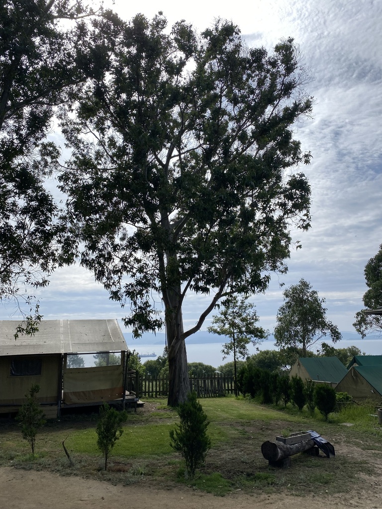 GLAMPING 5 PERSONAS (solo alojamiento)