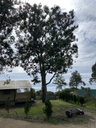 GLAMPING 5 PERSONAS (solo alojamiento)