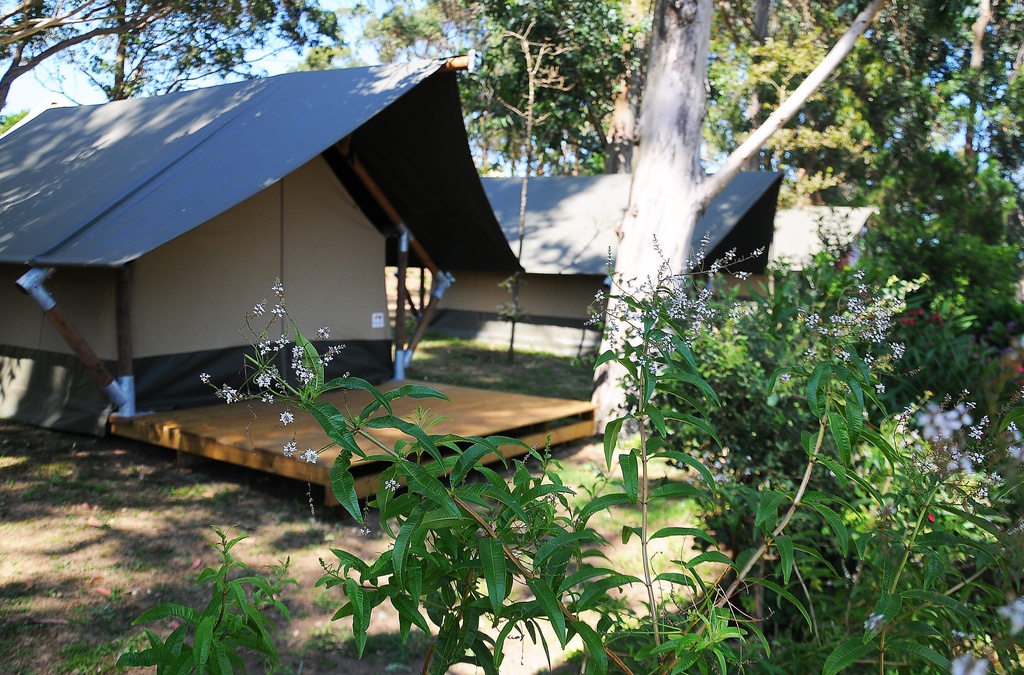 GLAMPING PAREJAS (solo alojamiento)